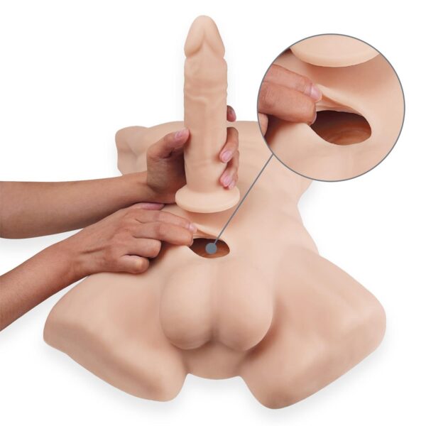 Apollo L Male Torso Flesh - obrazek 5