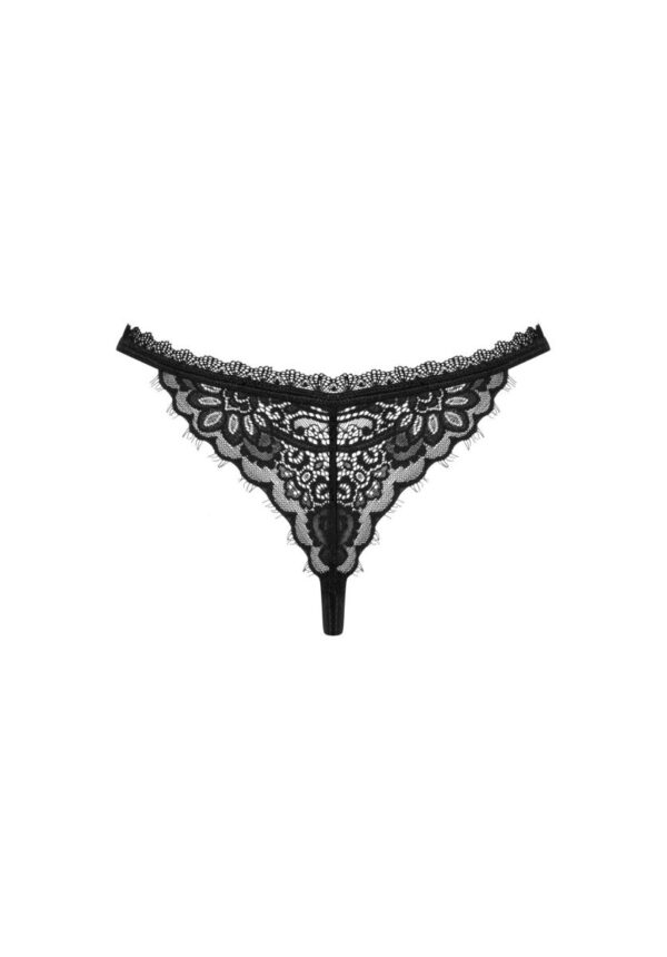 Maderris stringi  M/L - obrazek 6