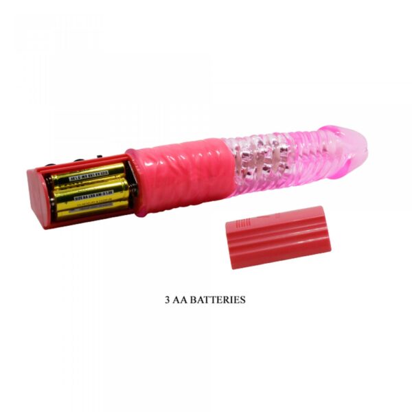 BAILE  CHRIS INA, Vibration Rotation - obrazek 6