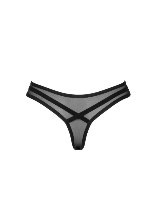 Roxelia stringi   M/L - obrazek 6