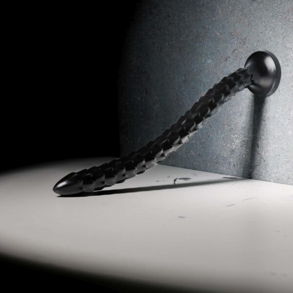 Scaled Anal Snake   16/ 40 cm - obrazek 6