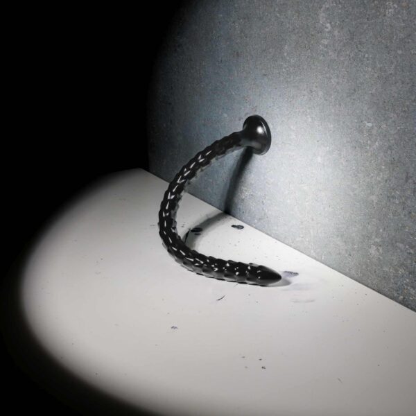 Scaled Anal Snake   20/ 50 cm - obrazek 6