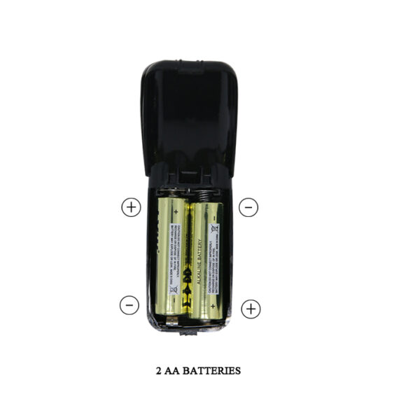 BAILE   Arbitrariness, Vibration - obrazek 7