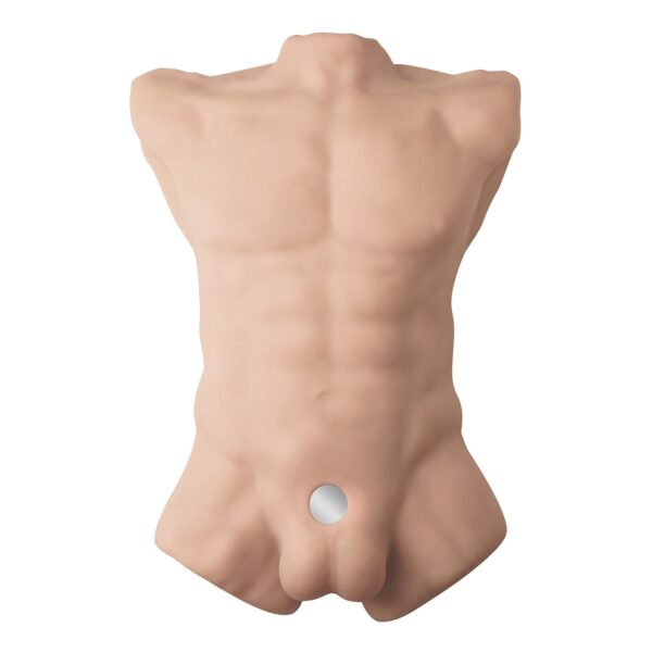 Apollo L Male Torso Flesh - obrazek 7