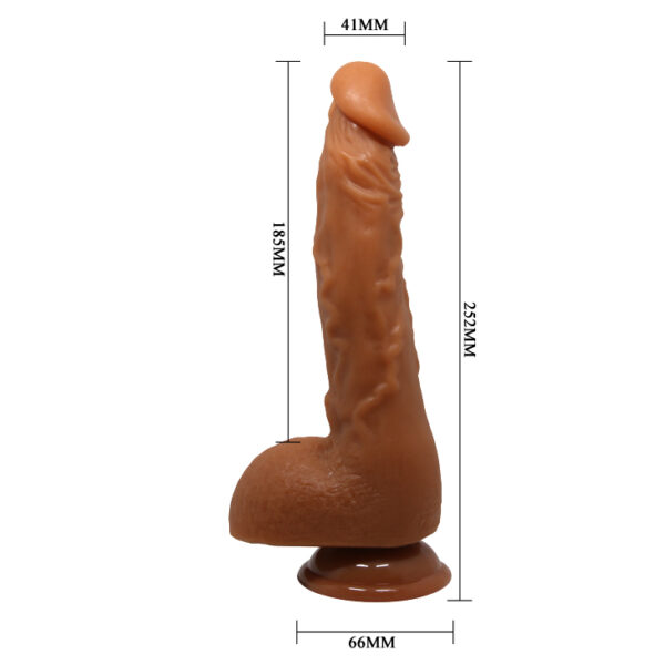 BAILE   JASON, Suction base - obrazek 7
