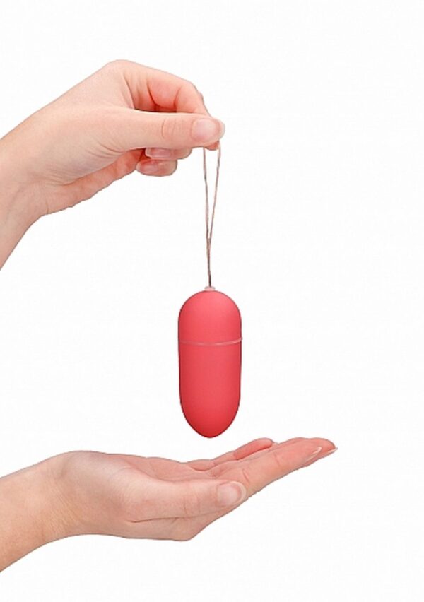 10 Speed Remote Vibrating Egg   Big   Pink - obrazek 9