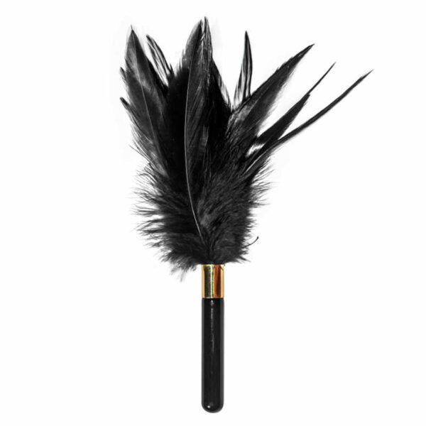 Piórko  Ticler Burlesque Plume Black