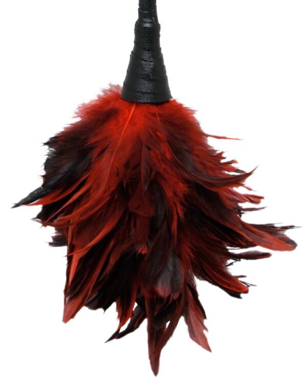 FFS Frisky Feather Duster - obrazek 2
