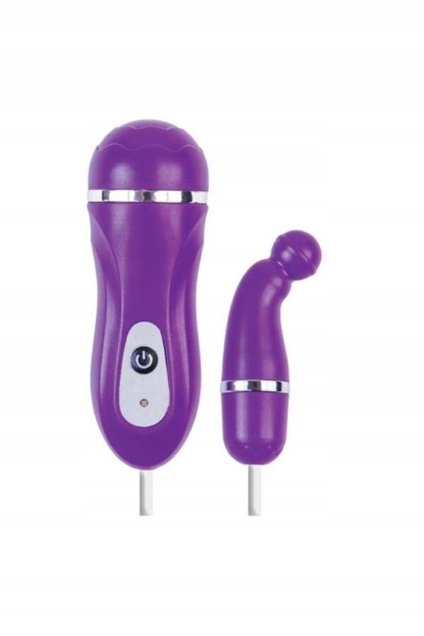 A TOYS Vibro Egg Purple 12 Speed