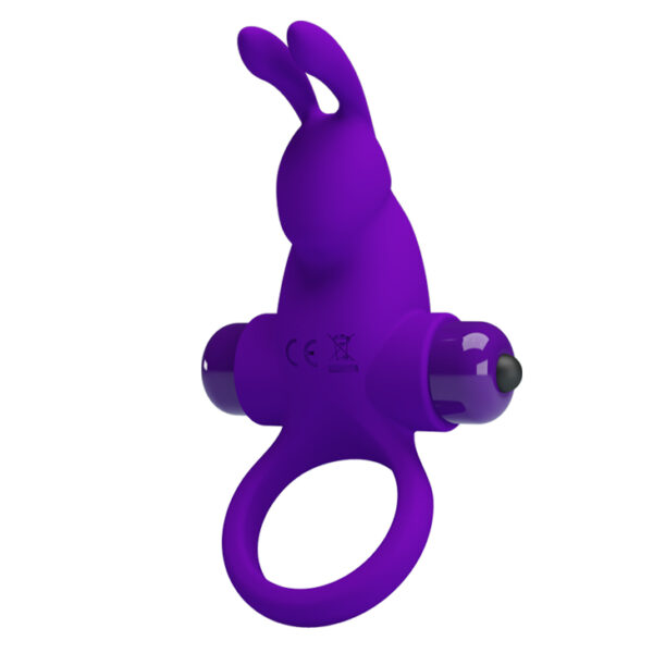 PRETTY LOVE   VIBRANT PENIS RING I Purple