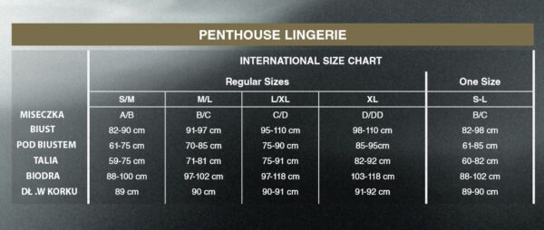 Bielizna High profile black XL PENTHOUSE - obrazek 4