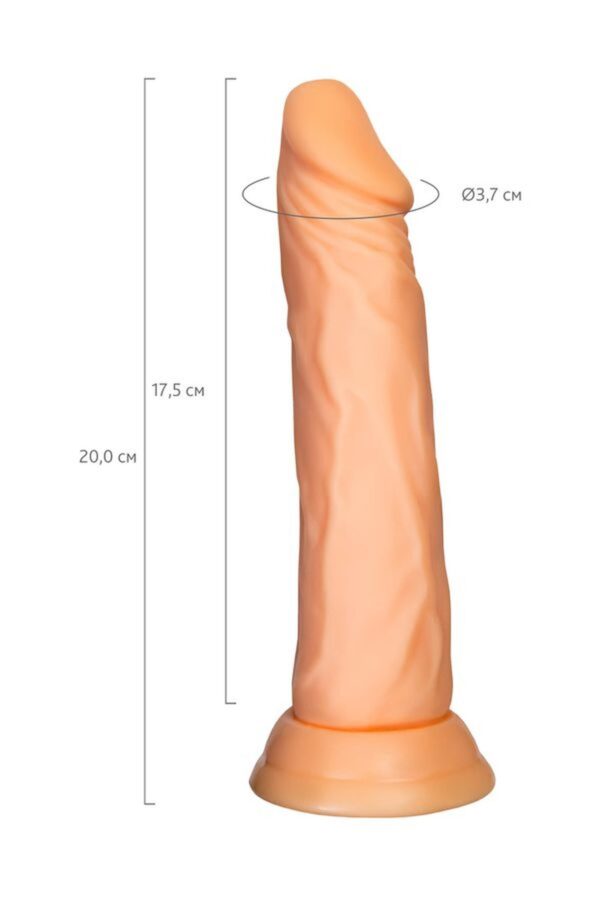 A TOYS Realistic dildo Toon, TPE, nude, 17,5 cm - obrazek 5