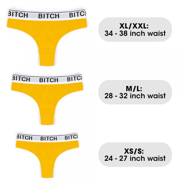 Bitch Vibrating Panties (28~32 inch waist ) - obrazek 7